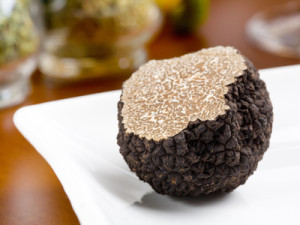 Mushroom of truffle on a white dish