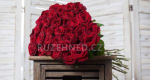Rudé řezané růže – to je nehynoucí klasika